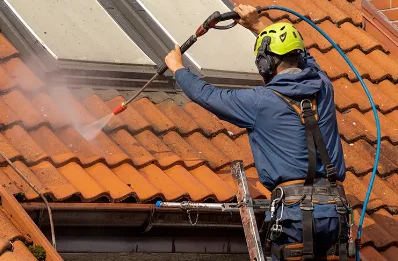 Démoussage et hydrofuge de toiture au Hanouard